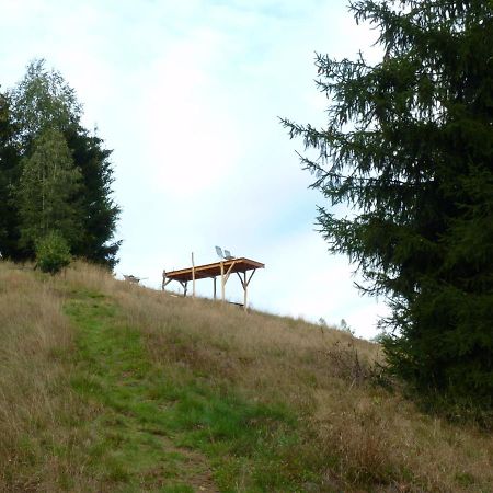 Ein Platz Fuer Ruhe Und Naturgenuss Sebnitz Buitenkant foto