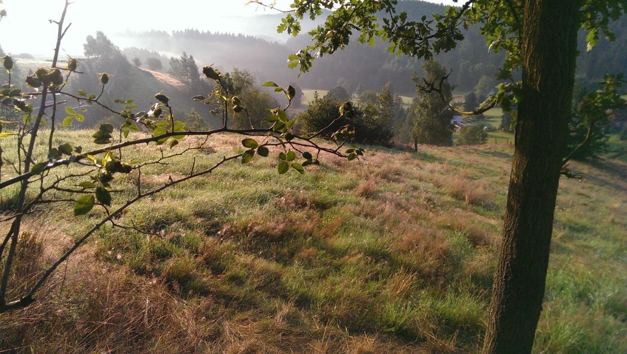 Ein Platz Fuer Ruhe Und Naturgenuss Sebnitz Buitenkant foto