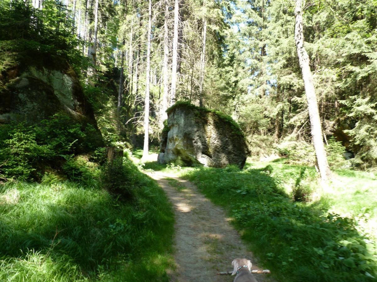 Ein Platz Fuer Ruhe Und Naturgenuss Sebnitz Buitenkant foto