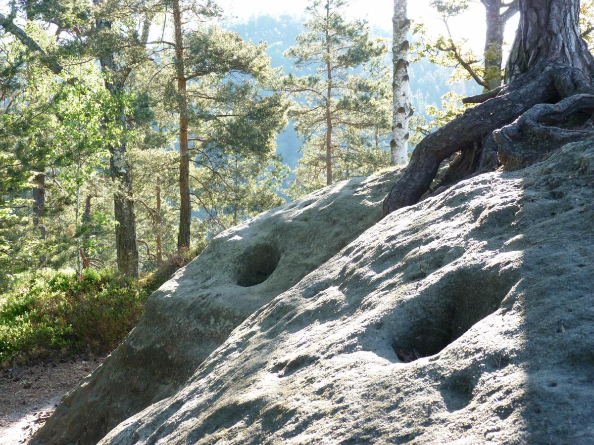 Ein Platz Fuer Ruhe Und Naturgenuss Sebnitz Buitenkant foto