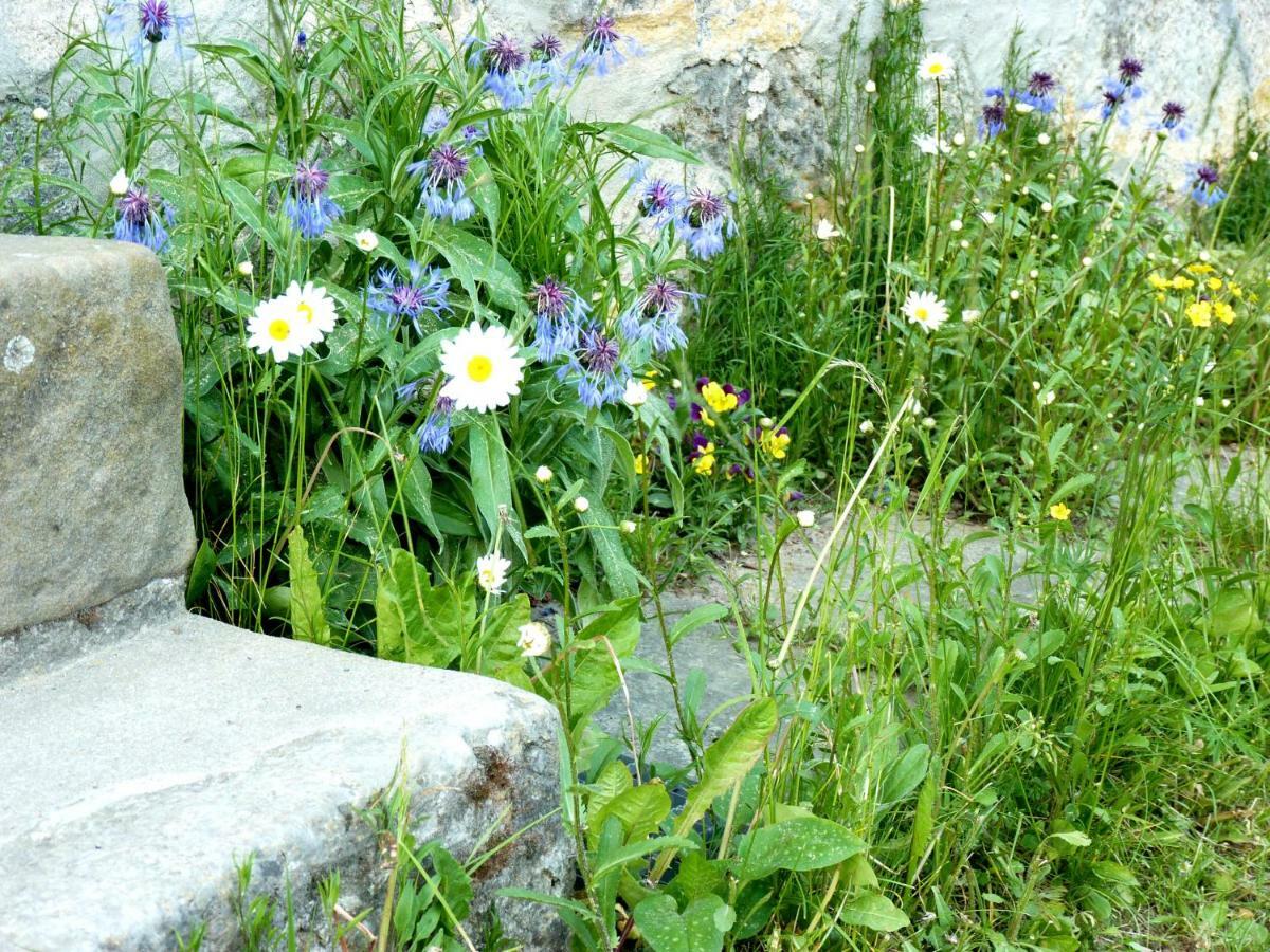 Ein Platz Fuer Ruhe Und Naturgenuss Sebnitz Buitenkant foto